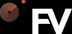 FastVid